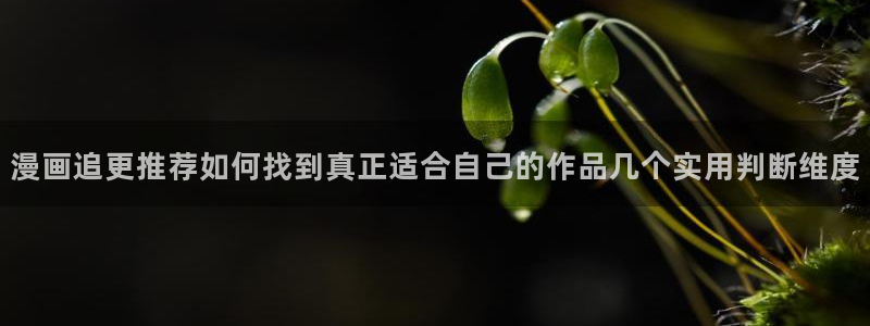 免费漫画在线阅读:漫画追更推荐如何找到真正适合自己的作品几个实用判断维度