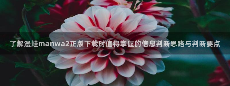 在线漫画