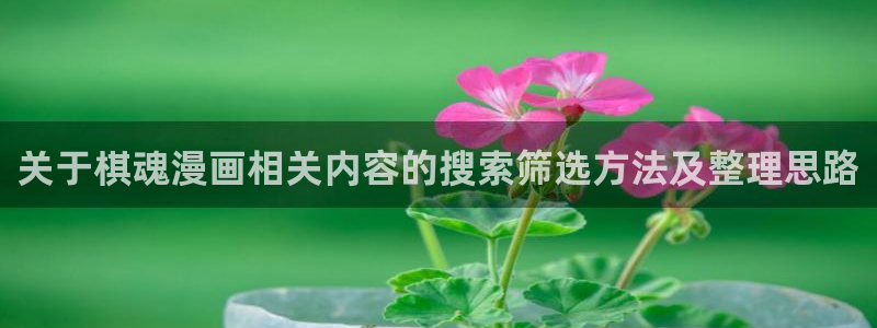 漫画免费阅读网站:关于棋魂漫画相关内容的搜索筛选方法及整理思路