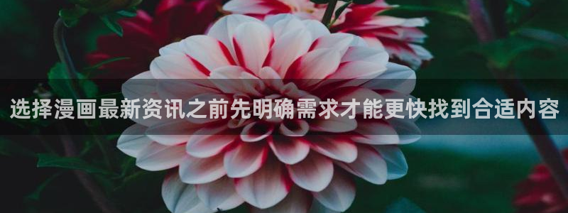 漫画目录:选择漫画最新资讯之前先明确需求才能更快找到合适内容